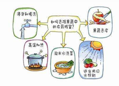 如何減少農(nóng)藥污染去除農(nóng)藥殘留？振華化工總結(jié)以下幾點(diǎn)分享給大家