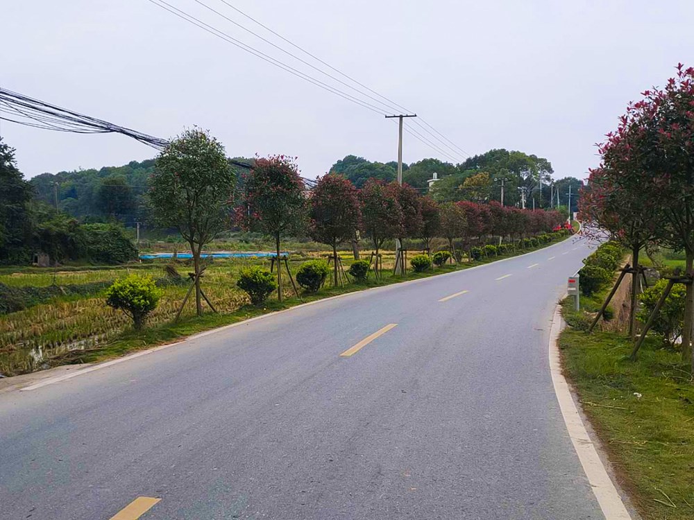 湘東區四好公路下埠鎮栗塘段